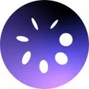 LoopFi